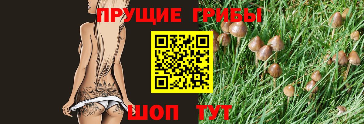 Борисоглебск  Псилоцибиновые грибы Psilocybe  Вход с VPN 