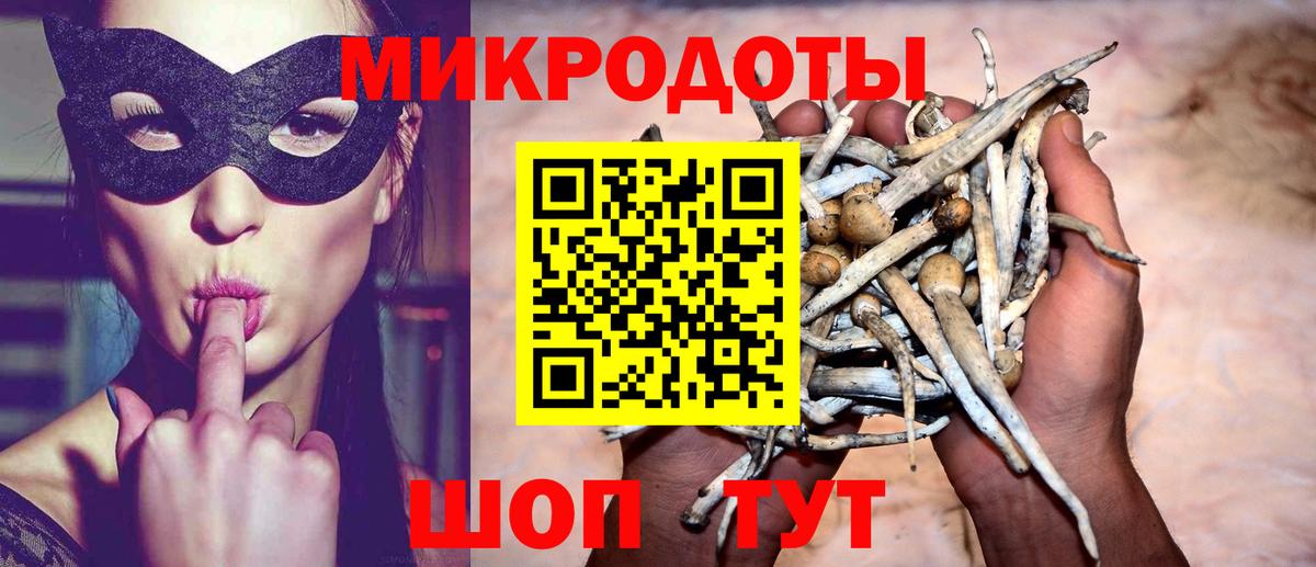 Галлюциногенные грибы Psilocybe Борисоглебск